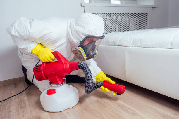 Emergency Pest Control in Tuckahoe, NY